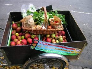 Organic, apples, fruit and veg, bicycle